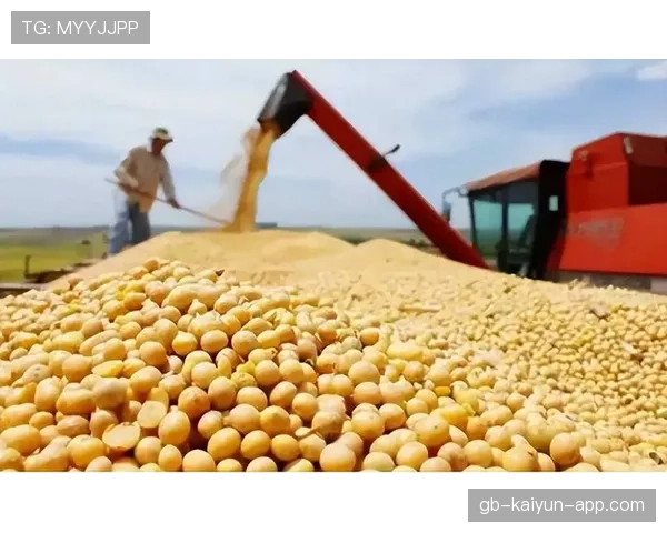 商务部发声：中美大豆和波音贸易仍在推进中，中美大豆协议